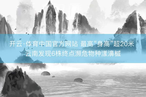 开云·体育中国官方网站 最高“身高”超20米 云南发现6株终点濒危物种漾濞槭