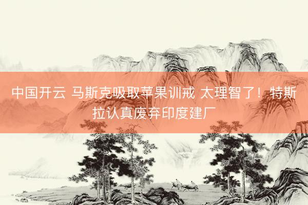 中国开云 马斯克吸取苹果训戒 太理智了！特斯拉认真废弃印度建厂