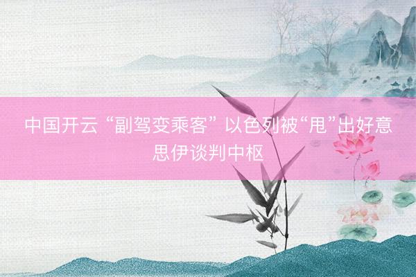 中国开云 “副驾变乘客” 以色列被“甩”出好意思伊谈判中枢