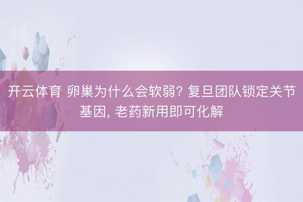 开云体育 卵巢为什么会软弱? 复旦团队锁定关节基因， 老药新用即可化解
